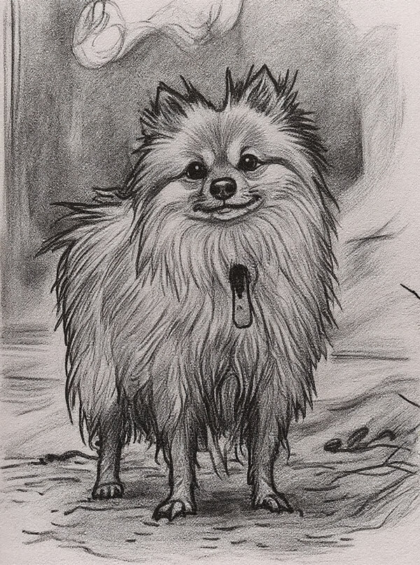 inspiration-charcoal-pets